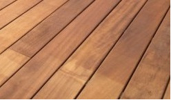 T03.012 IROKO20118 bombiert Grad.jpg